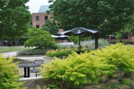 Arbnet | University Of Maryland Arboretum And Botanical Garden